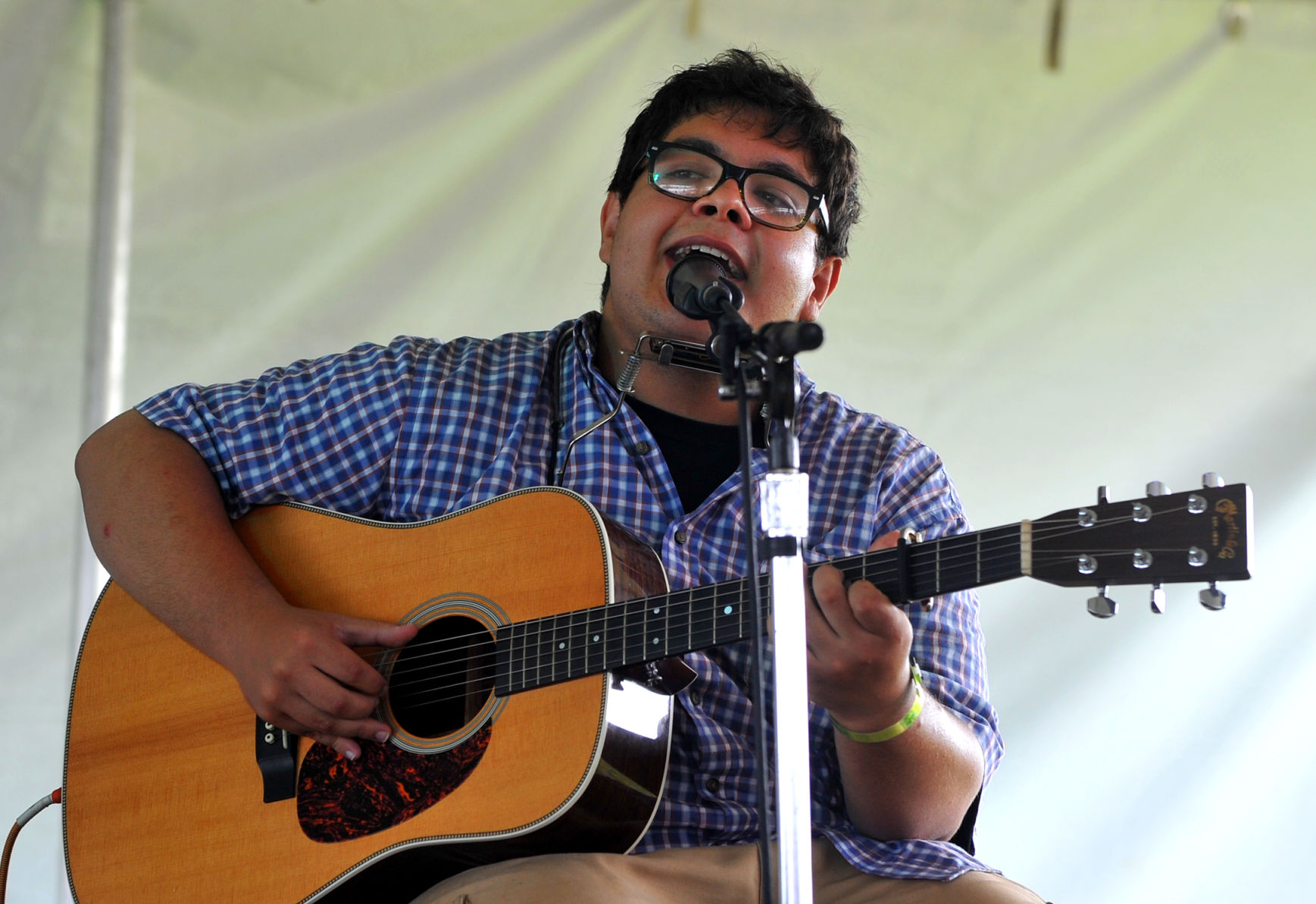 2019 Mississippi Valley Blues Festival